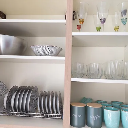 The Infinity Blue Leptokarya (Pieria)