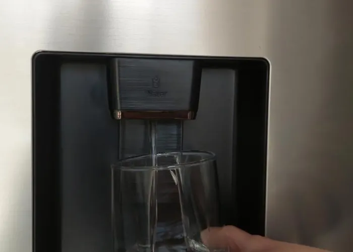 The Infinity Blue Leptokarya (Pieria)