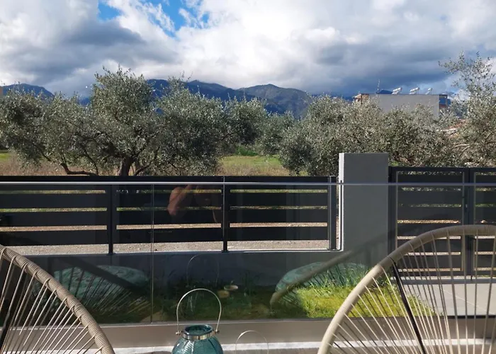 Daire The Infinity Blue Leptokarya (Pieria)